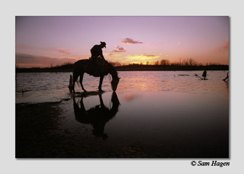 large format photo printing on a ZBE Chromira on Fuji Crystal Archive Paper